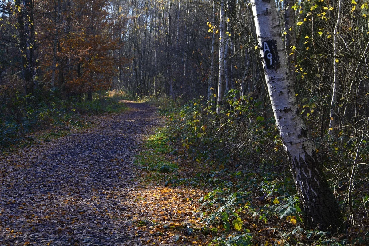 Marque et identite visuelle : ancrez votre présence sur le marché